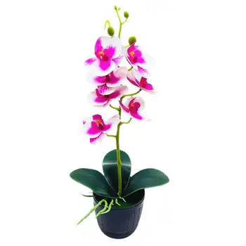 1 Комплект Изкуствени Цветя Орхидея Гърне Пластмасова Витрина Полк Имитация на Стайни Растения Домашно Моделиране на Бонсай ваза за стайни растения